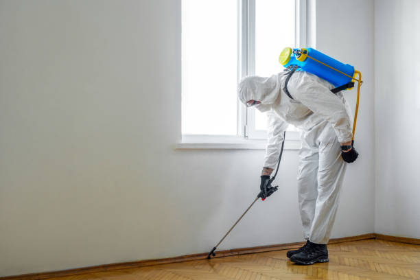 Best Mosquito Control Services  in Denmark, WI